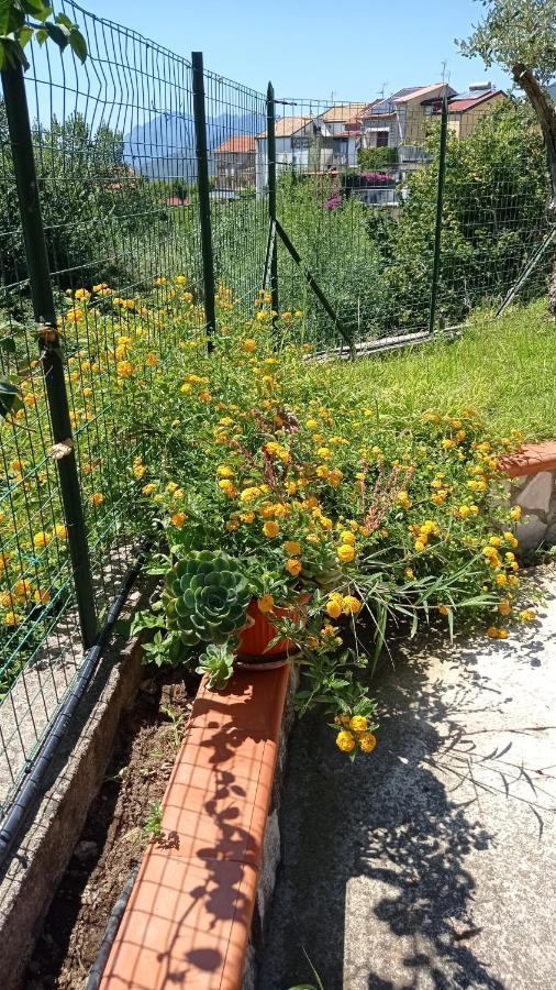 Gatti E Mare Villa Salerno Buitenkant foto